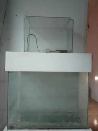 arquarios para peixes
