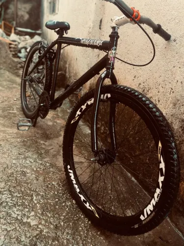 Bicicleta