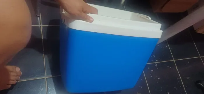 Cooler
