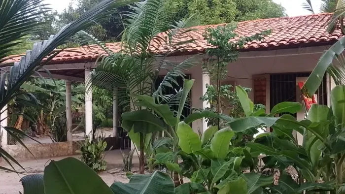 Casa, sítio, chácara
