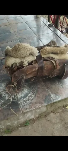 Arelho de cavalo 