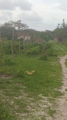 Venda de terreno