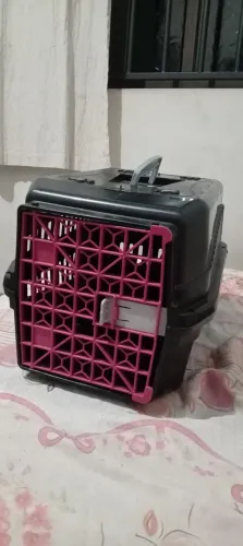 Casinha de cachorro ? 
