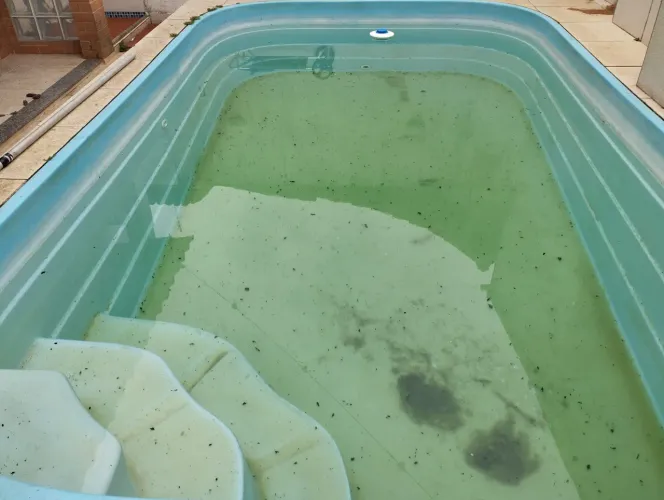 Piscineiro Profissional
