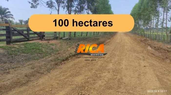Excelente fazenda à venda, com 100 hectares na Área Rural de Porto Velho/RO
