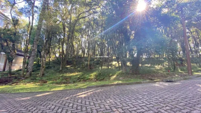 Terreno no Condomínio Pinheiro Grosso - Canela/RS