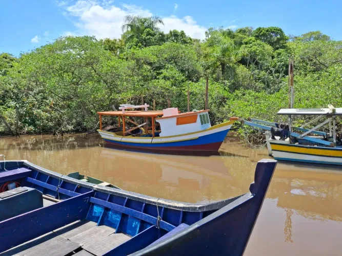 Barco de areia de camarão