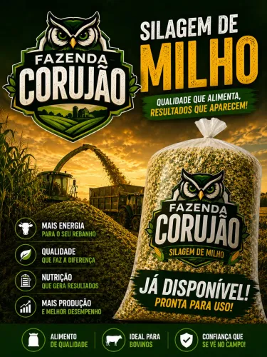 Silagem de milho
