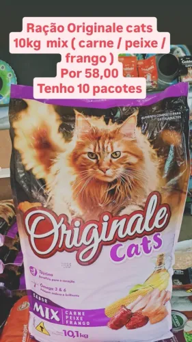 Loja fechando tudo a preço de custo