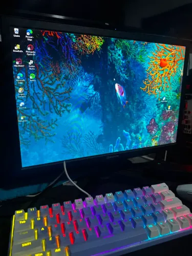 Monitor 19°