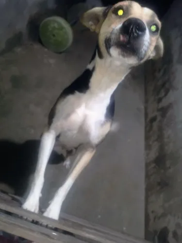 Doação