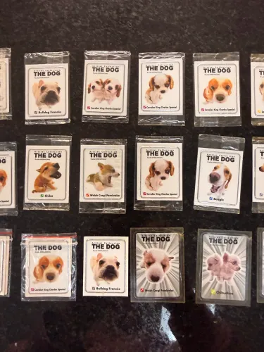 Lote de Cards The Dog Elma Chips Lacrado