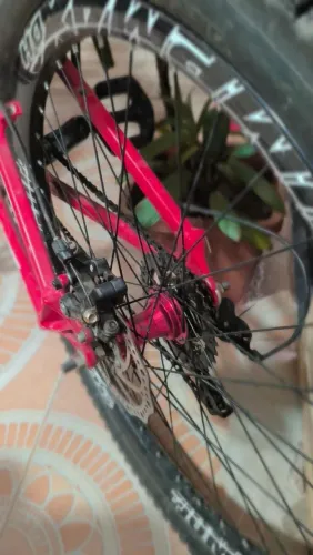 BICICLETA GRAU