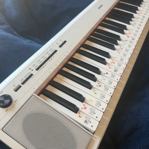 Piano digital Piaggero Np 12