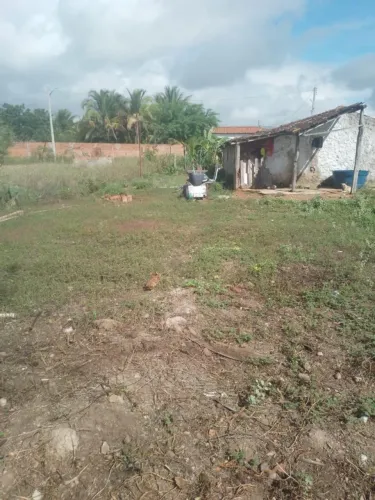 Terreno