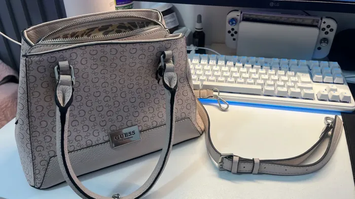Bolsa guess