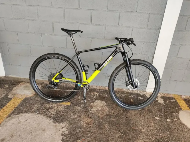 Caloi Elite Carbon Racing