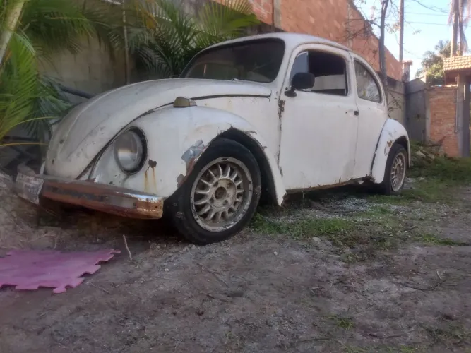 Rodas fusca