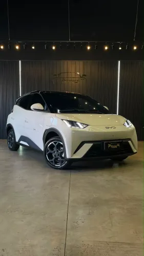 BYD Dolphin Mini (Elétrico) 2027