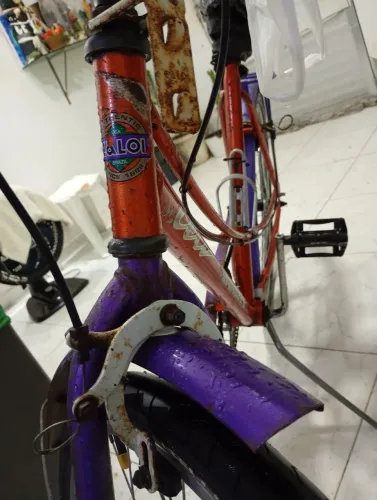 Bicicleta Ceci original