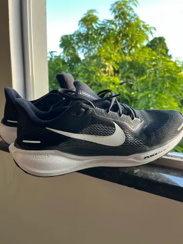 Vendo Tênis Nike Pegasus 41