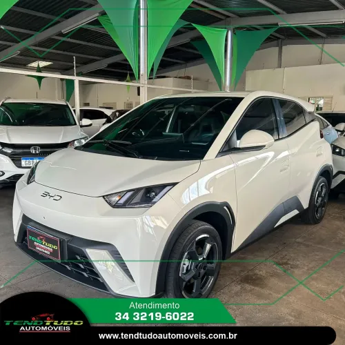 BYD Dolphin Mini (Elétrico) 2025