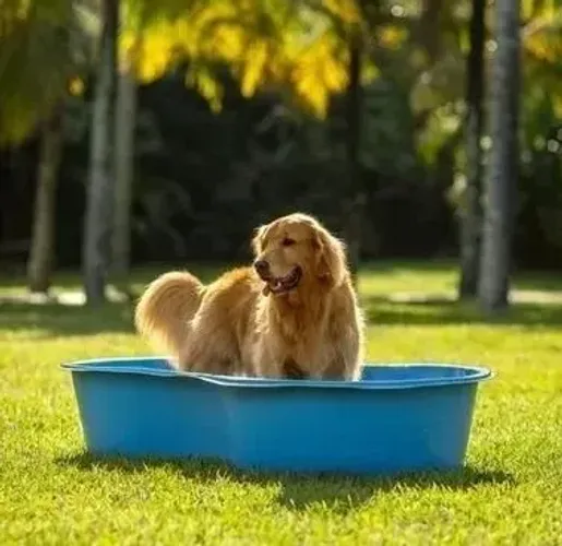 Piscina Unidade com 500L Modelo Feijão Azul Multiuso De Polietileno