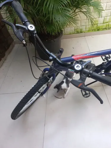 Bicicleta 18 marchas