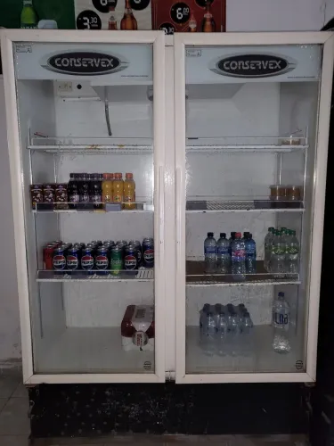 Freezer vertical