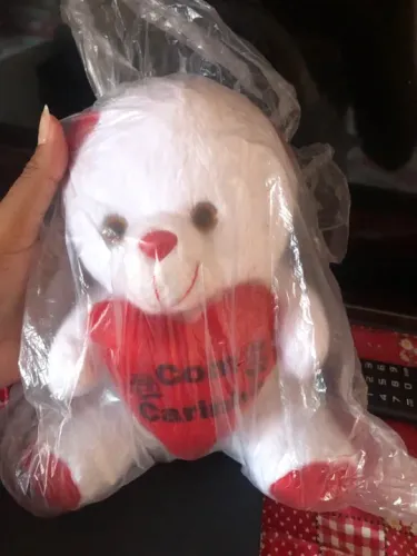 Ursinho de pelúcia Para presentear seu amor