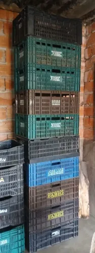 Kit 11 Caixa Plástica Agrícola 46 litros Cores Diversas