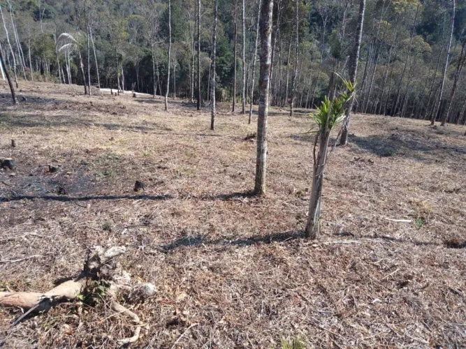Chacara belas Áreas Roseira Colombo/ Campina Grande do Sul