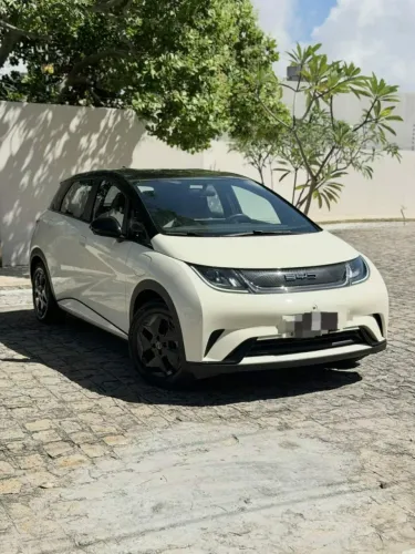 BYD Dolphin EV (Elétrico) 2024