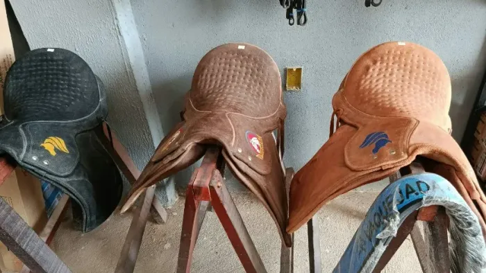 Selas e Acessórios Premium para Cavalos - Conforto e Durabilidade