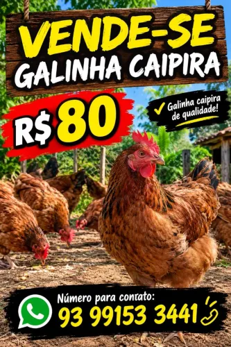 Galinha caipira