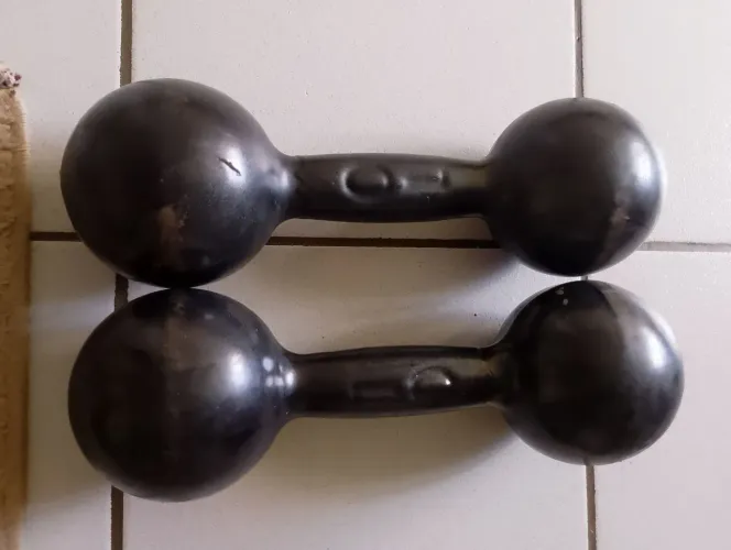 Halteres 10kg emborrachado