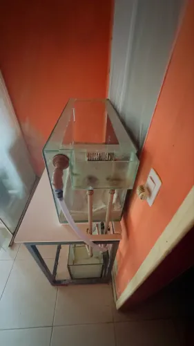 Aquário