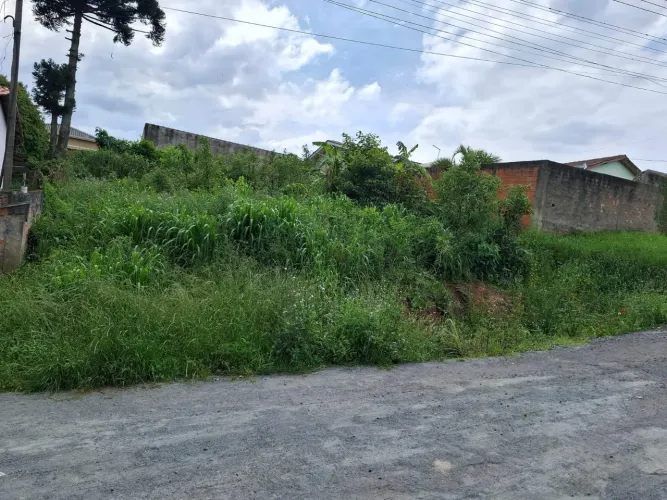 Terreno campina grande /jardim Jacob ceccon