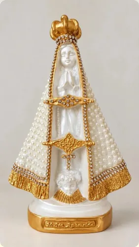 Coleção nossa senhora Aparecida