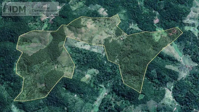 Fazenda de Cacau e Seringa com 394hectares em Gandu - BA