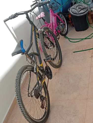 Bicicleta