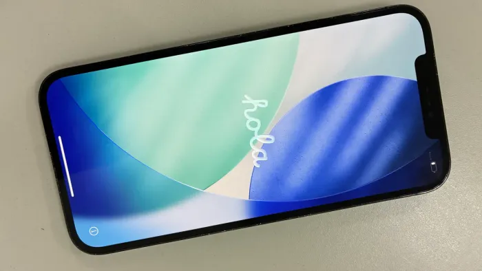 IPhone 12 Pro Max 512GB - Impecável | Leia descrição