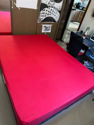 Cama de Casa de Molas
