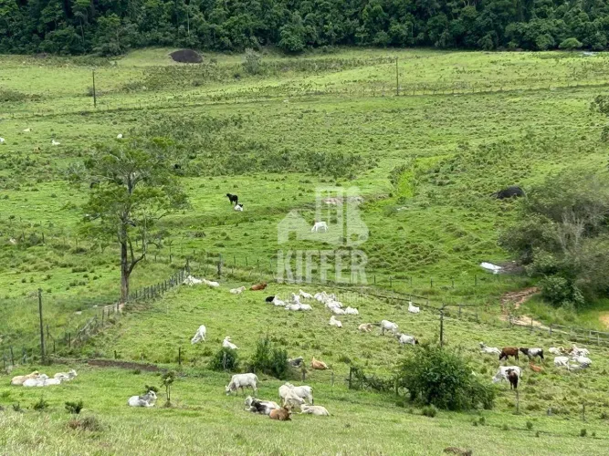 Fazenda à Venda em Rio Bonito 121 Hectares (25 Alqueires) com Estrutura Completa e Docume