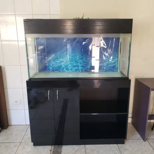Aquário 300 litros