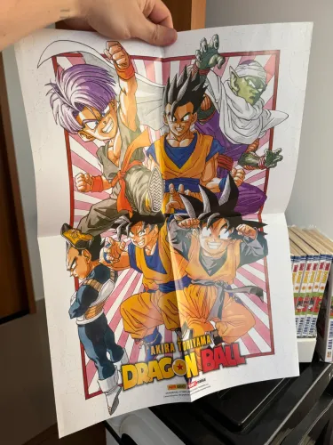Set mangá Dragon Ball
