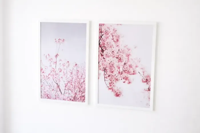 Quadros de cerejeiras