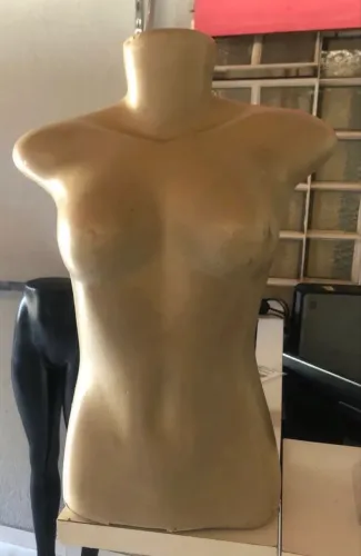 Busto feminino