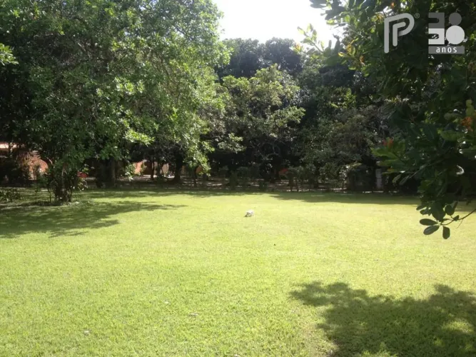 Sítio com 4 dormitórios à venda, 1.000.000 m² por R$ 980.000,00 - Morópia - São