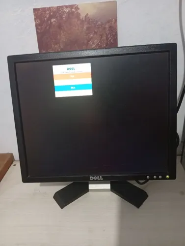 Monitor dell